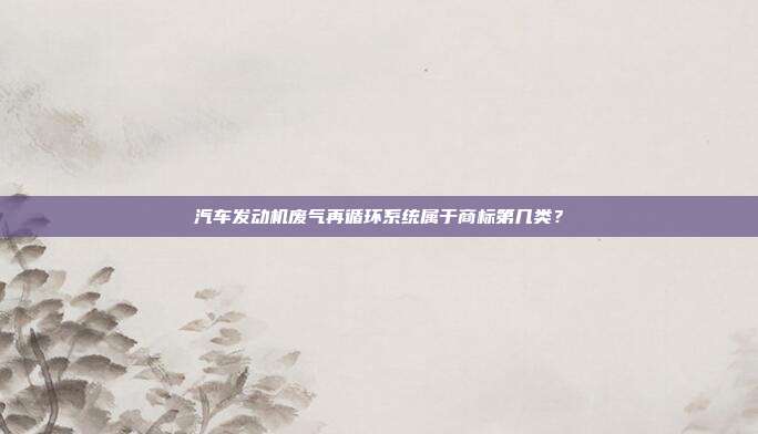 汽车发动机废气再循环系统属于商标第几类？