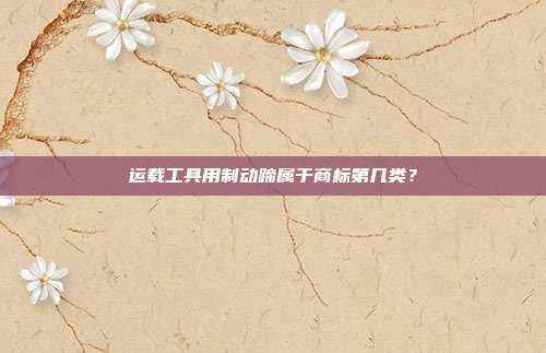 运载工具用制动蹄属于商标第几类?