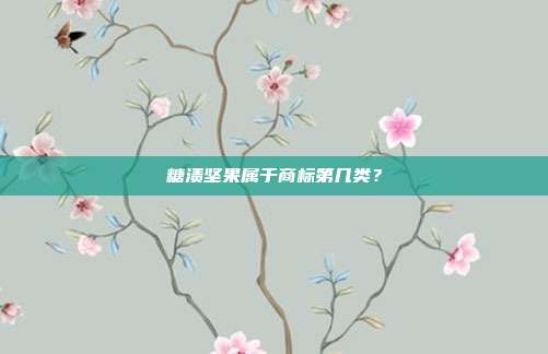 糖渍坚果属于商标第几类?