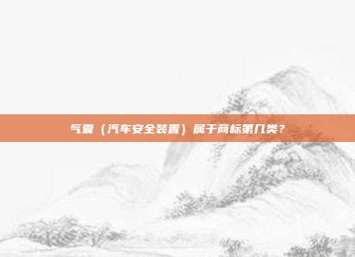 气囊(汽车安全装置)属于商标第几类?