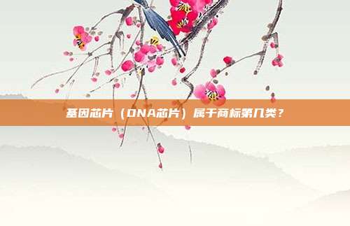 基因芯片（DNA芯片）属于商标第几类？