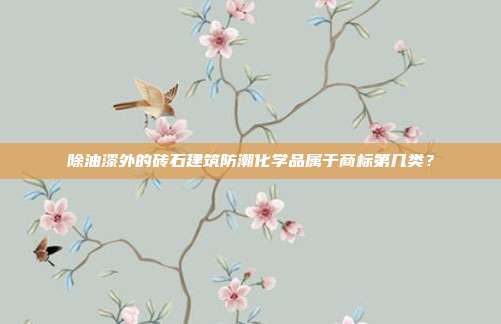 除油漆外的砖石建筑防潮化学品属于商标第几类？