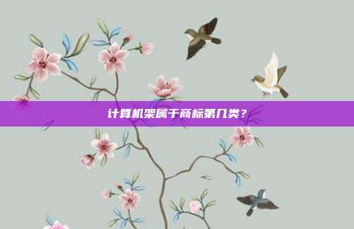 计算机架属于商标第几类？