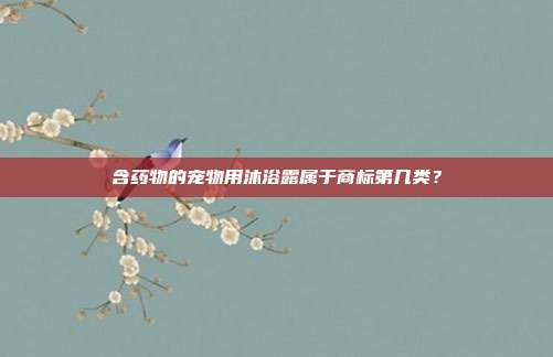 含药物的宠物用沐浴露属于商标第几类?