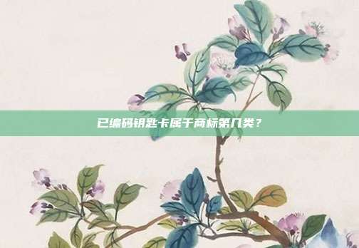 已编码钥匙卡属于商标第几类?