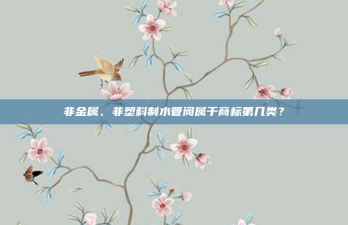 非金属、非塑料制水管阀属于商标第几类?
