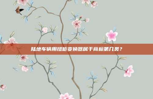 陆地车辆用扭矩变换器属于商标第几类?