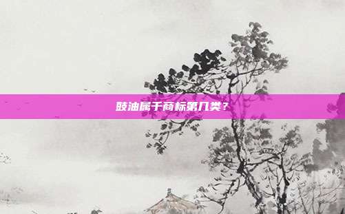 豉油属于商标第几类?