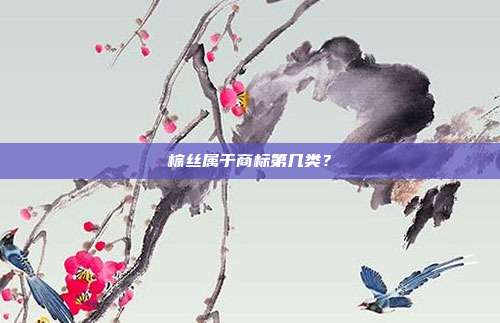 棕丝属于商标第几类?