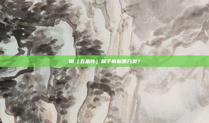 销(五金件)属于商标第几类?