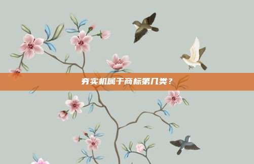 夯实机属于商标第几类?