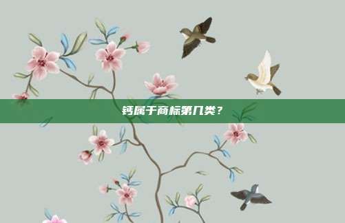 钙属于商标第几类？