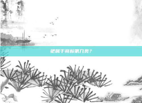 钯属于商标第几类?