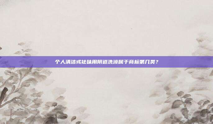 个人清洁或祛味用阴道洗液属于商标第几类?