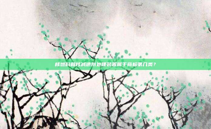 核燃料和核减速剂处理装置属于商标第几类?
