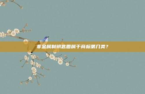 非金属制钥匙圈属于商标第几类？