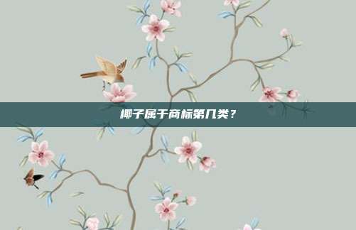 椰子属于商标第几类？