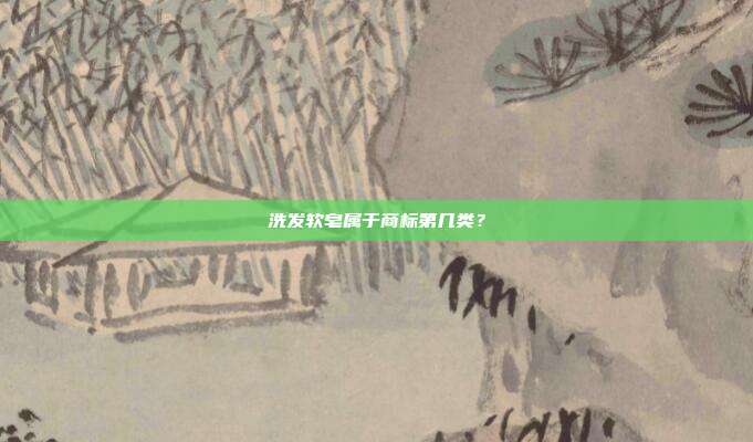 洗发软皂属于商标第几类？