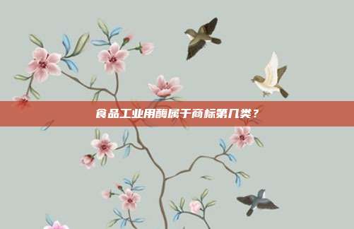 食品工业用酶属于商标第几类？