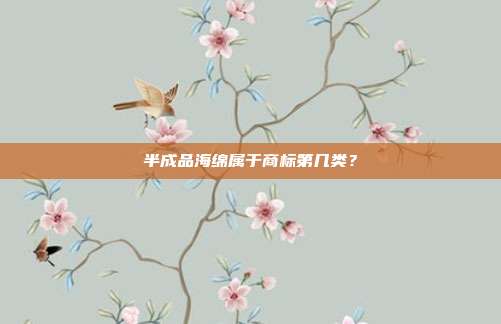 半成品海绵属于商标第几类？