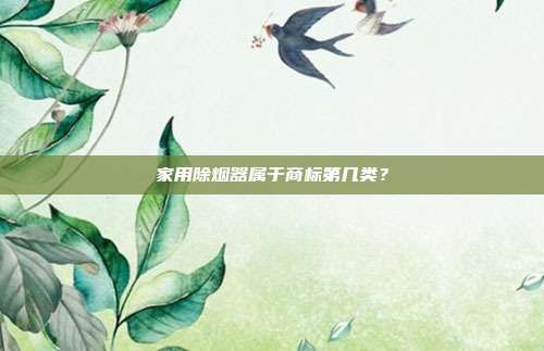 家用除烟器属于商标第几类?