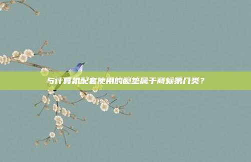 与计算机配套使用的腕垫属于商标第几类?