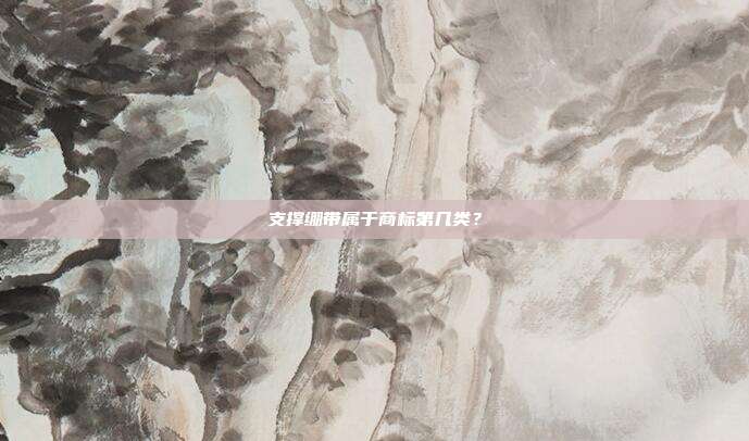 支撑绷带属于商标第几类?
