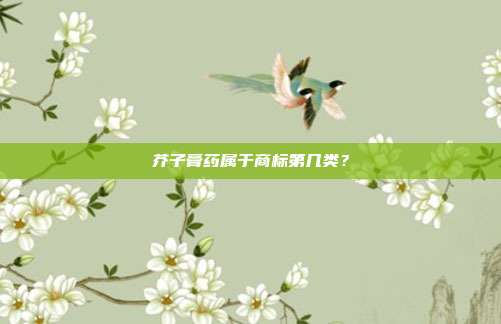 芥子膏药属于商标第几类?