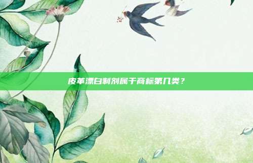 皮革漂白制剂属于商标第几类?