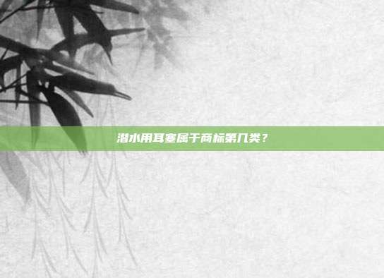 潜水用耳塞属于商标第几类?