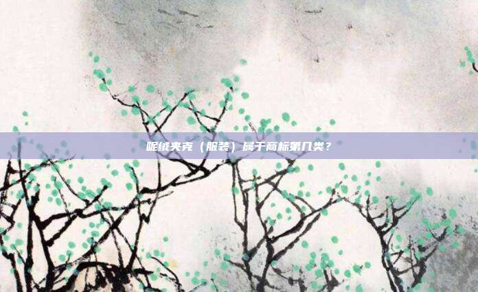 呢绒夹克(服装)属于商标第几类?