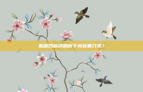 照相凹版印刷属于商标第几类?