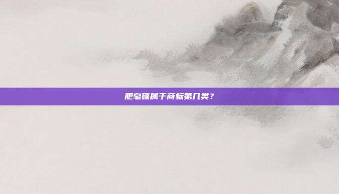 肥皂碟属于商标第几类?