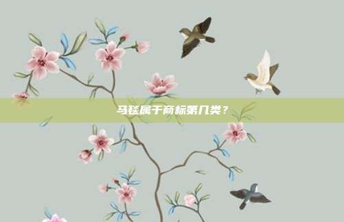 马毯属于商标第几类?