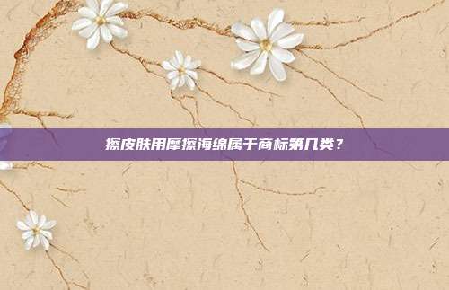 擦皮肤用摩擦海绵属于商标第几类？