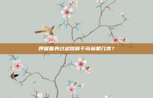 呼吸面具过滤器属于商标第几类？