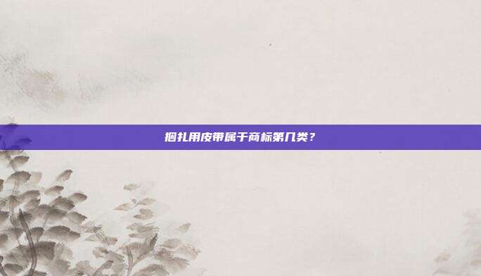 捆扎用皮带属于商标第几类？