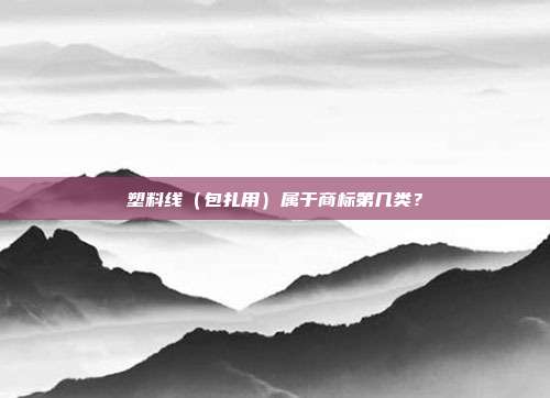塑料线（包扎用）属于商标第几类？