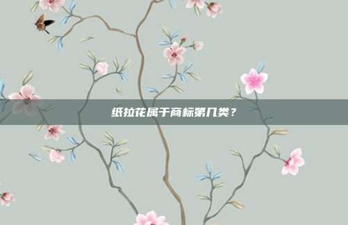 纸拉花属于商标第几类?