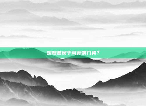 暖腿套属于商标第几类？