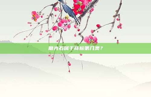 磨光石属于商标第几类？