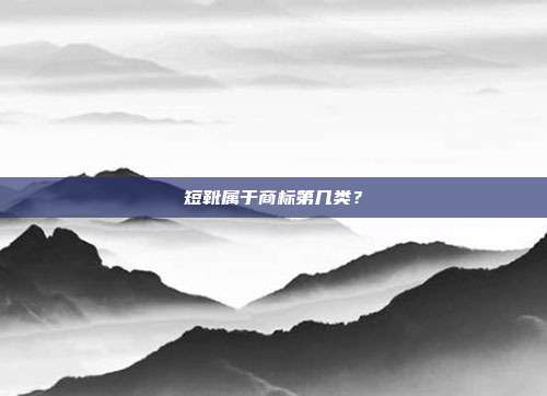 短靴属于商标第几类？
