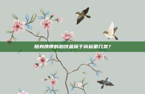 随身携带的粉饼盒属于商标第几类?