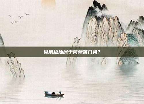 食用板油属于商标第几类？