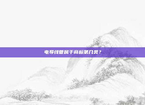 电导线管属于商标第几类？