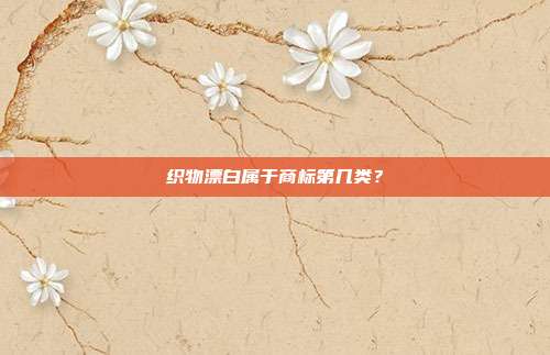 织物漂白属于商标第几类?