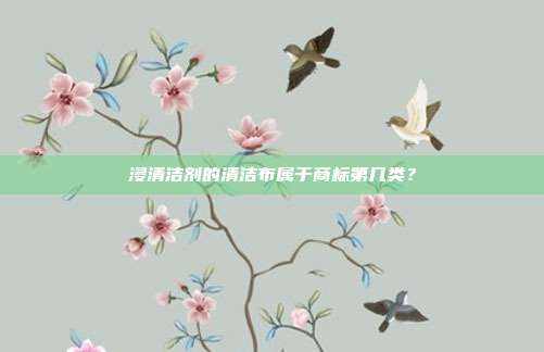浸清洁剂的清洁布属于商标第几类?