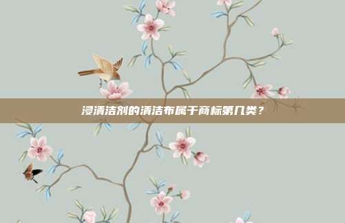 浸清洁剂的清洁布属于商标第几类?