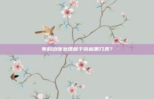 布料边饰处理属于商标第几类?
