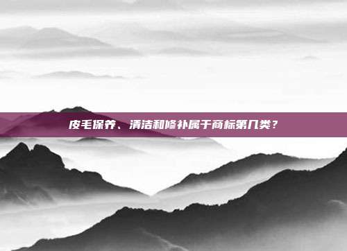 皮毛保养、清洁和修补属于商标第几类?